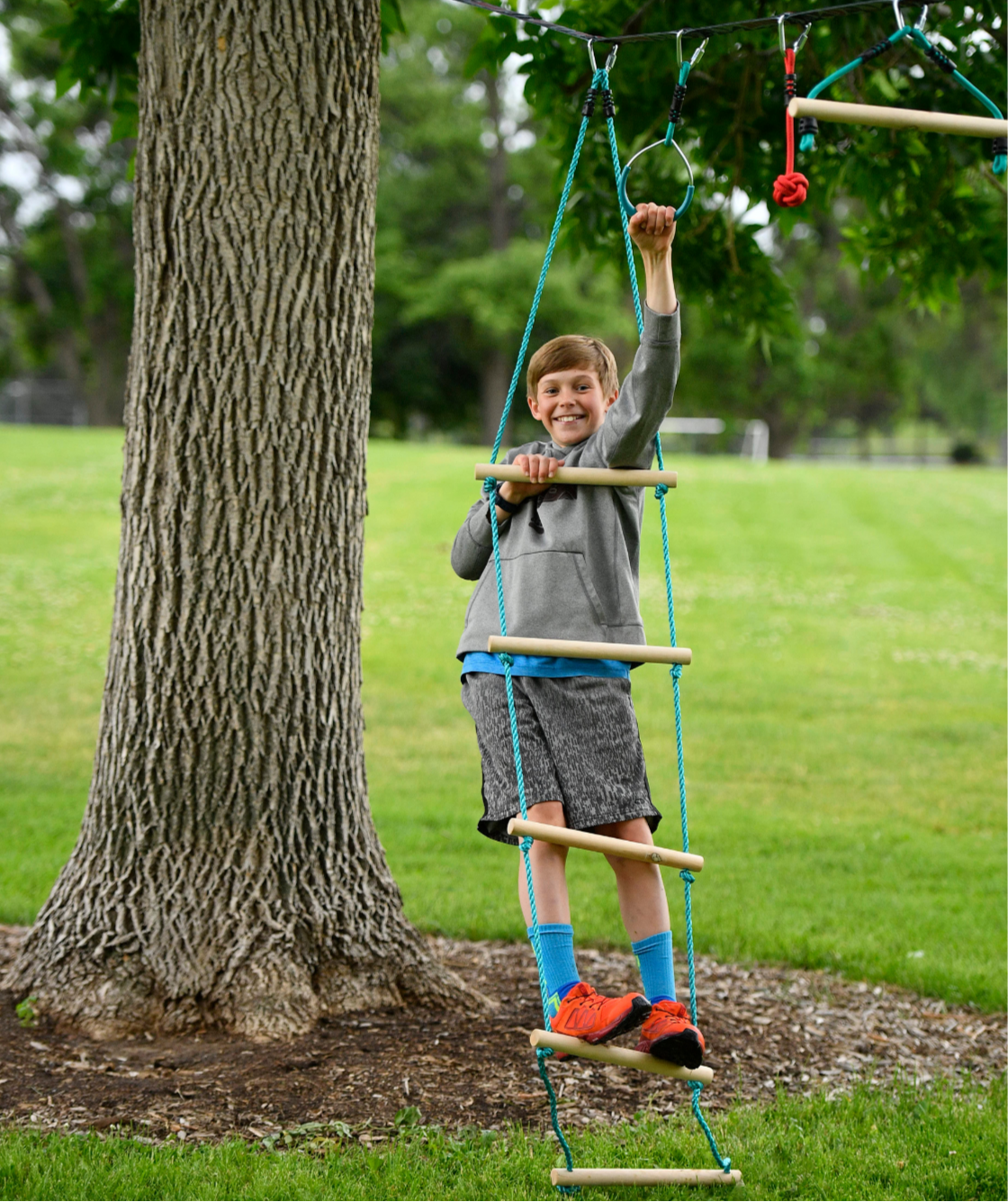 Child on a playground ladder attached to a tree