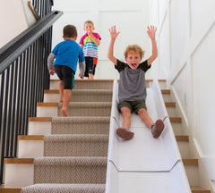 The Original StairSlide